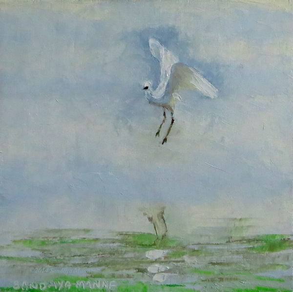 "Landing"  6x6 inches, Oils on Panel.....©sandhyamanne